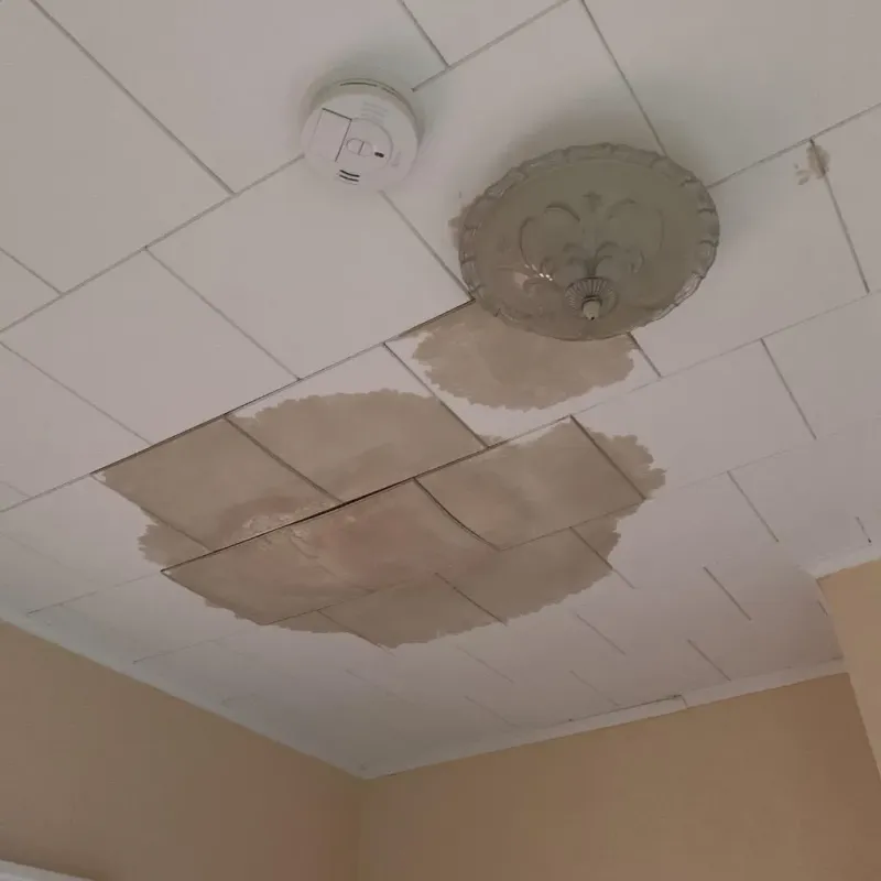 Ceiling Water Damage Repair in Pomona, NY
